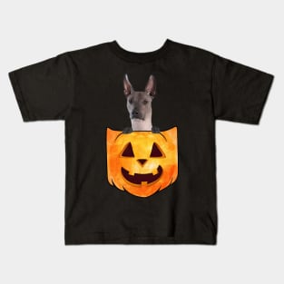 Xoloitzcuintli Dog In Pumpkin Pocket Halloween Kids T-Shirt